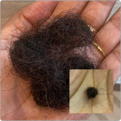 cb478ab4_6f29_410d_b4b2_b24194e81c5d